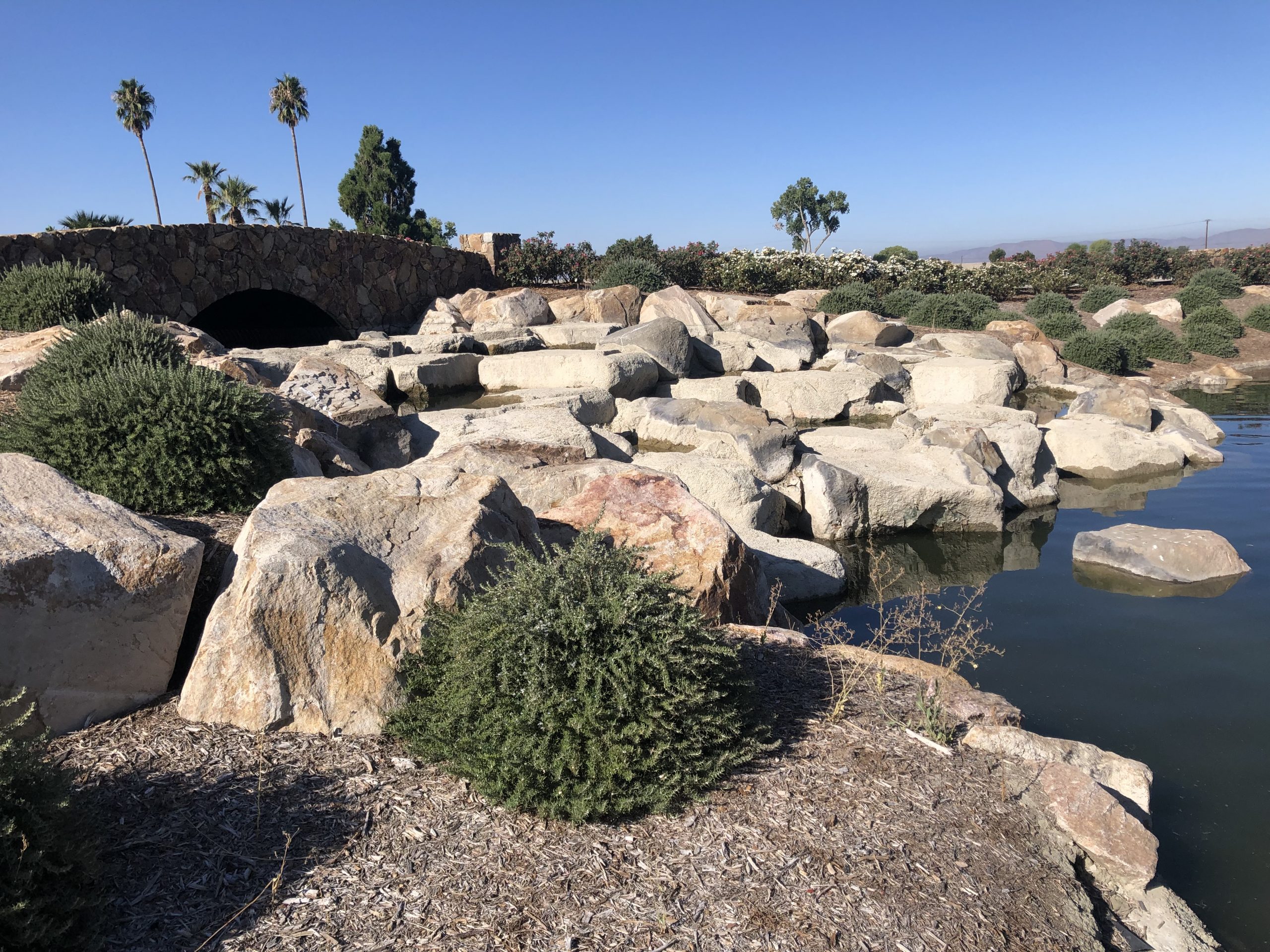 #Найди свой путь